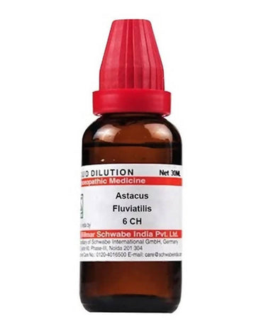 https://cdn.shopify.com/s/files/1/1857/6931/products/c3P9LkFRMG.jpg?v=1640930109